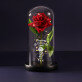 Unsere Liebe ist ewig - Ewige Rose Im Glas