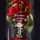 Unsere Liebe ist ewig - Ewige Rose Im Glas