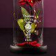Unsere Liebe ist ewig - Ewige Rose Im Glas