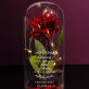 Ausbildung - Ewige Rose Im Glas