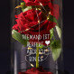 Niemand ist perfekt - Ewige Rose Im Glas