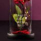 Niemand ist perfekt - Ewige Rose Im Glas