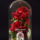 Möge unsere Liebe - Ewige Rose Im Glas