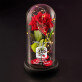 Möge unsere Liebe - Ewige Rose Im Glas