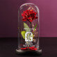 Möge unsere Liebe - Ewige Rose Im Glas