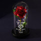 Schöne Blume - Ewige Rose Im Glas