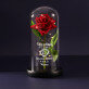 Schöne Blume - Ewige Rose Im Glas