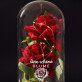Schöne Blume - Ewige Rose Im Glas