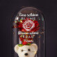 Schöne blume - Ewige Rose mit Teddybär Schöne blume - Ewige Rose mit Teddybär
