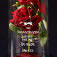 Sternschnuppe für dich - Ewige Rose Im Glas