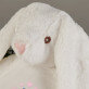 Plüschfreund - Maskottchen mit Stickerei