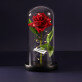 Eigenes Projekt - Ewige Rose Im Glas