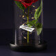 Eigenes Projekt - Ewige Rose Im Glas