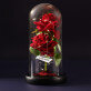 Eigenes Projekt - Ewige Rose Im Glas