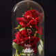 Freundinneni - Ewige Rose Im Glas