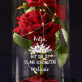 Freundinneni - Ewige Rose Im Glas