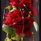 Freundinneni - Ewige Rose Im Glas
