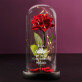 Freundinneni - Ewige Rose Im Glas