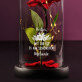 Freundinneni - Ewige Rose Im Glas