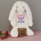 Hug me - Maskottchen mit Stickerei