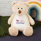 Give me a hug - Maskottchen mit Stickerei