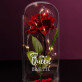 Queen - Ewige Rose Im Glas