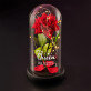 Queen - Ewige Rose Im Glas