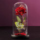 Queen - Ewige Rose Im Glas