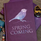 Spring is Coming - Notizbuch A5 mit Aufdruck