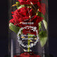 Zum Lehren geschaffen - Ewige Rose Im Glas