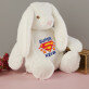 Superman - Maskottchen mit Stickerei