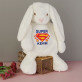 Superman - Maskottchen mit Stickerei