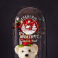 Christmas moments - Ewige Rose mit Teddybär