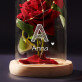 Dein Name - Ewige Rose Im Glas