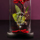 Liebste Oma - Ewige Rose Im Glas