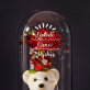 Liebste oma - Ewige Rose mit Teddybär Liebste oma - Ewige Rose mit Teddybär