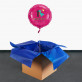 Geburtstag Dino - Heliumballon - Kreis