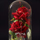 Ihr Tag - Ewige Rose Im Glas