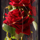 Ewige Rose Im Glas
