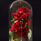Ewige Rose Im Glas