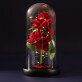 Ewige Rose Im Glas