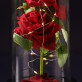 Ewige Rose Im Glas