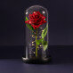 Ewige Rose Im Glas
