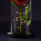 Ewige Rose Im Glas