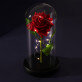 Ewige Rose Im Glas