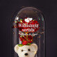 Wahnsinnig verliebt - Ewige Rose mit Teddybär