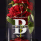 Verliebte - Ewige Rose Im Glas