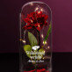 Verliebte - Ewige Rose Im Glas