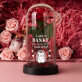 Geschenkset Für die Freundin 2 mit Ewiger Rose, Schokolade und Badesalz