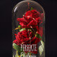 Perfekte Ehefrau - Ewige Rose Im Glas